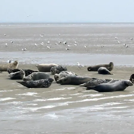 Holiday Waddenchalet.5